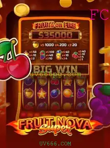 Descubra o Mundo Vibrante de FruitNovaSuper