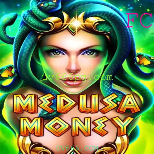 MedusaMoney: O Fascinante Mundo de Aventura e Estratégia