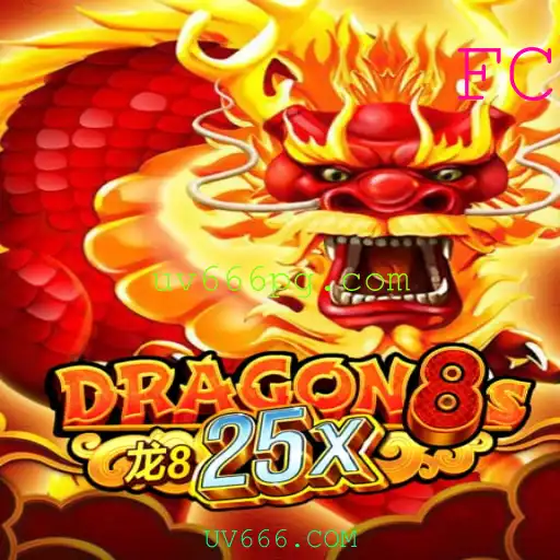 Explorando o Mundo de Dragon8s25x: Uma Aventura Mística