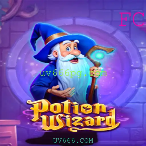 Explorando o Mundo Mágico de PotionWizard