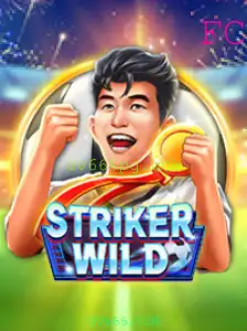 Explorando o Universo Intensificante de StrikerWILD
