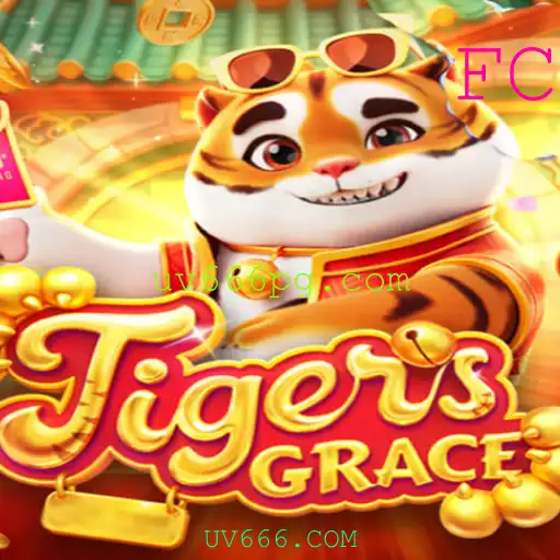TigersGrace: Uma Jornada no Mundo dos Felinos